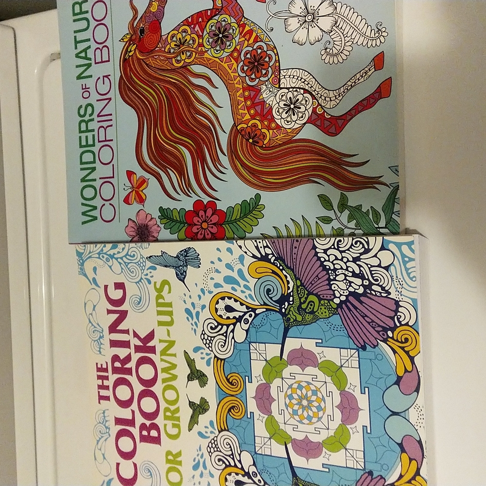 2 coloring books.